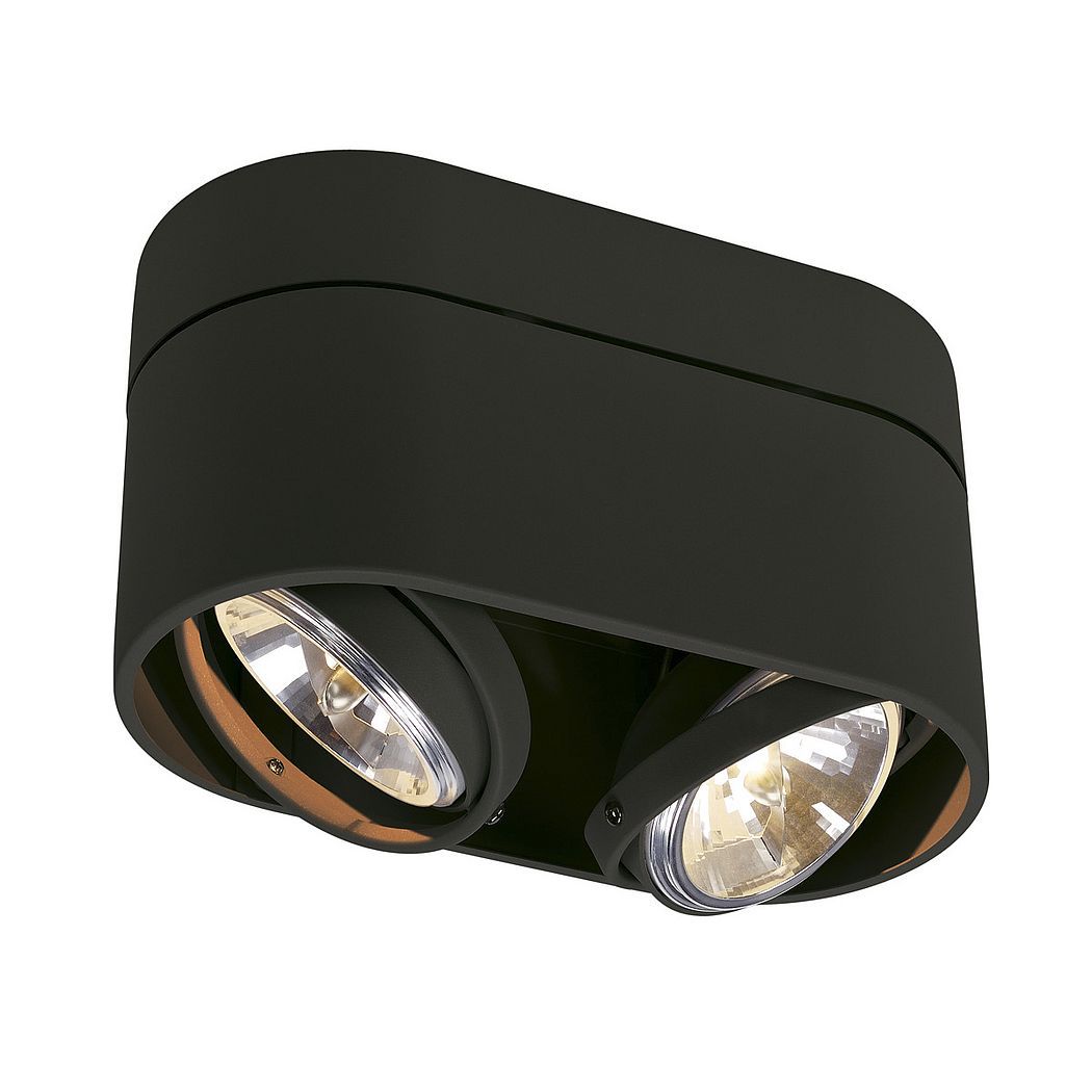 Точковий світильник SLV 117190 KARDAMOD купити