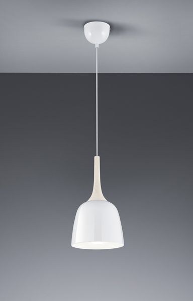 Подвесной светильник TRIO 306200101 KANNAN купити