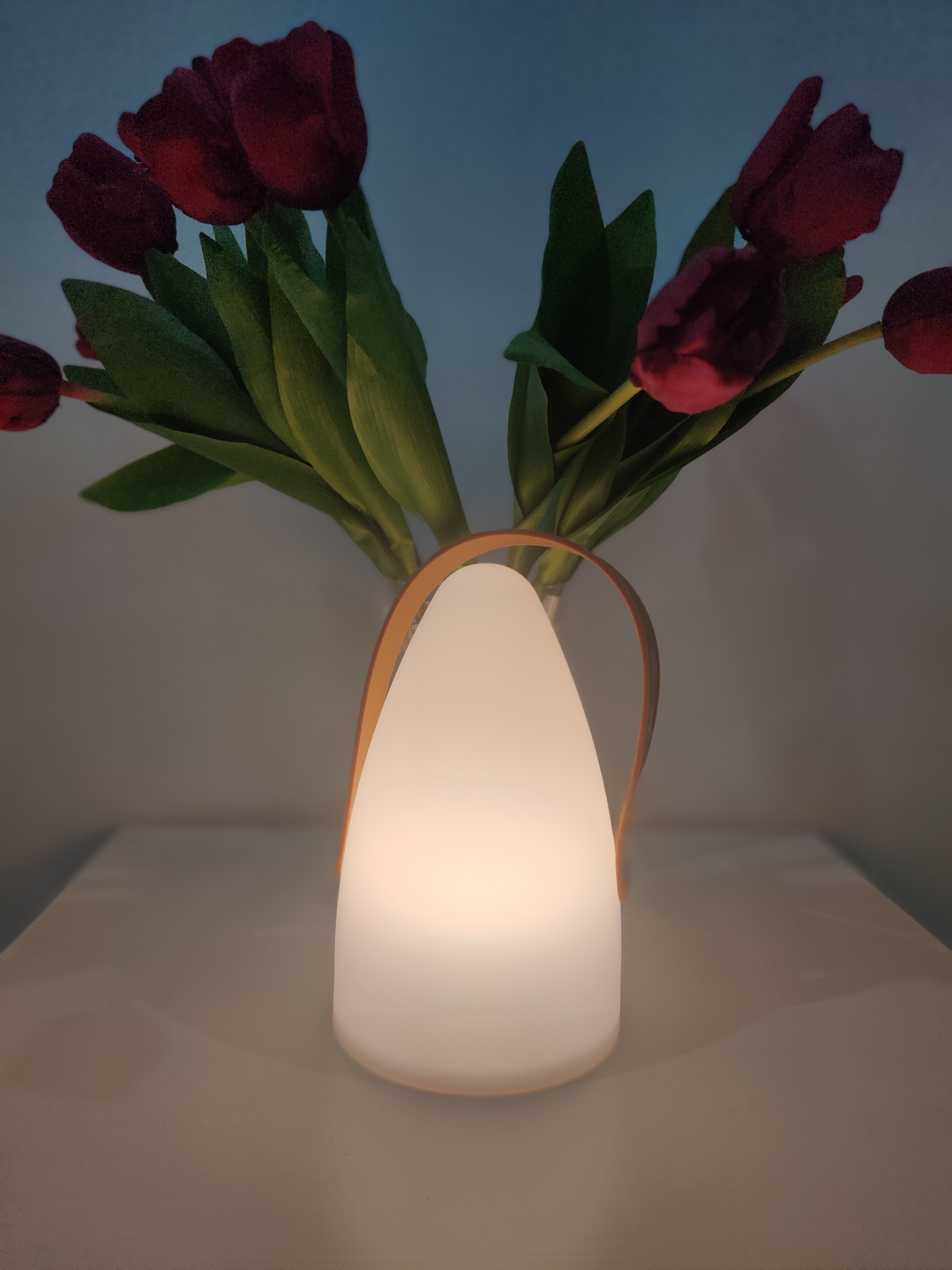 Настільна лампа на акумуляторі REALITY R57090101 HAITI купити