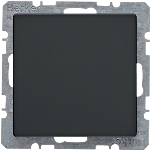 Заглушка з центральною панеллю, антрацит, Q.x 6710096086 купити