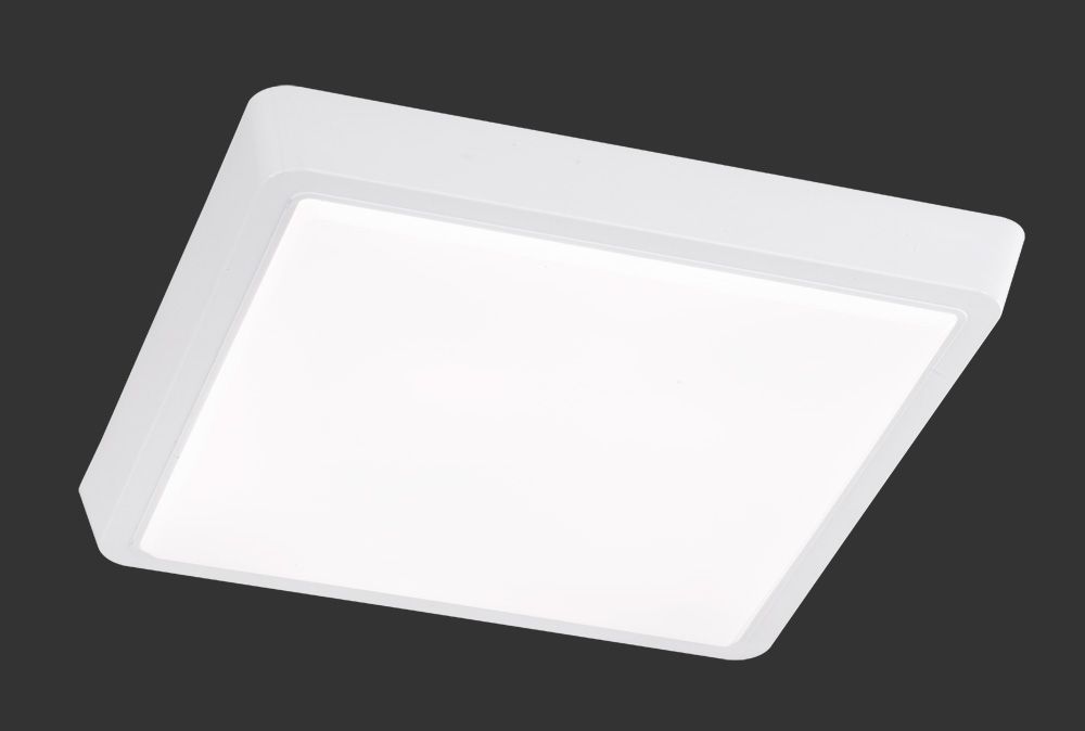 Потолочный светильник TRIO 627211501 MANUEL купити