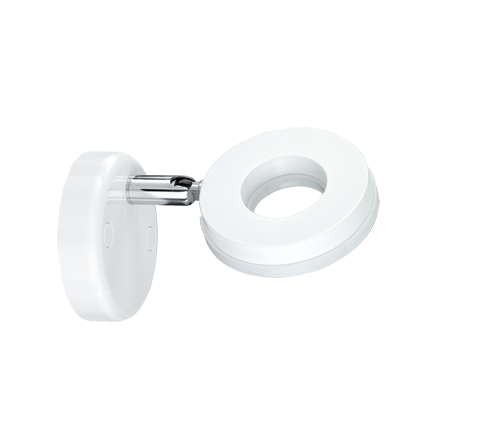 Спот REALITY R82411101 RENNES купити