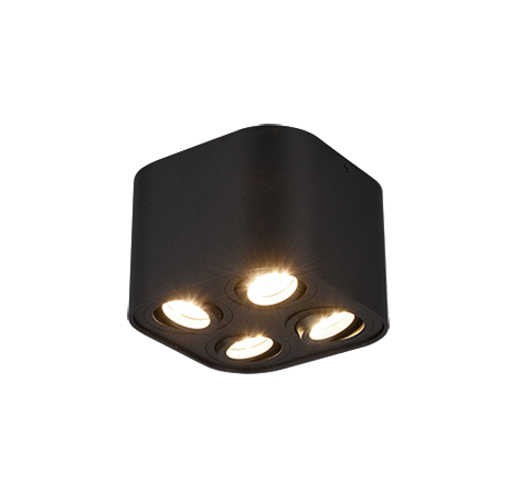 Точковий світильник TRIO 612900432 COOKIE купити