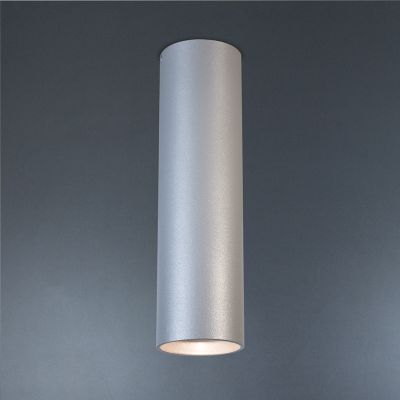 Точковий світильник ImperiumLight Accent 70120.22.22 купити