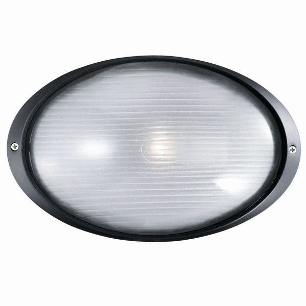 Уличный светильник Ideal Lux MIKE AP1 BIG NERO купити