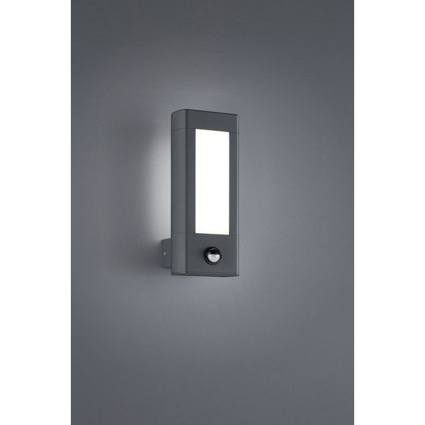 Уличный светильник TRIO 221669242 RHINE купити