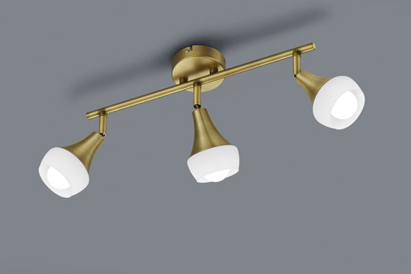 Спот TRIO 803100304 TRUMPET купити