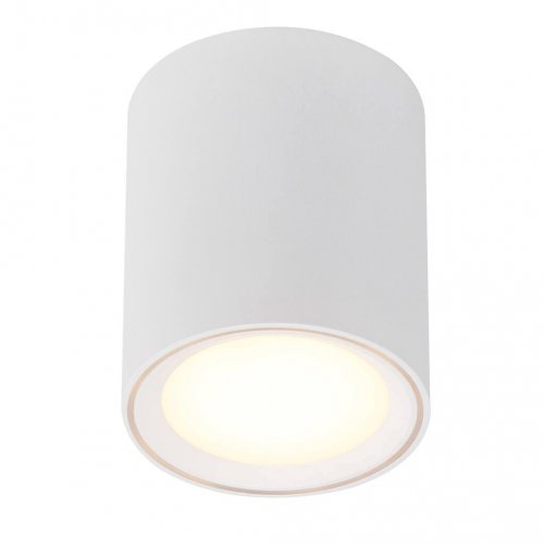 Точковий світильник Nordlux Fallon 47550101 купити