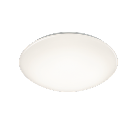 Потолочный светильник REALITY R62961001 LUKIDA купити