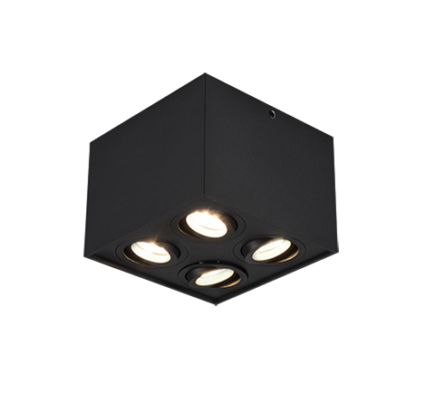 Точковий світильник TRIO 613000432 BISCUIT купити