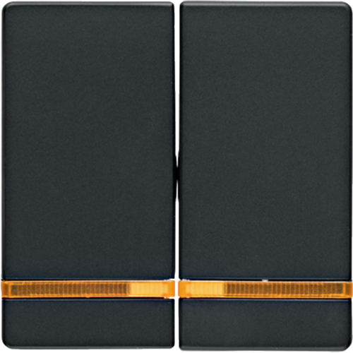 Клавіша 2Х з лінзою, антрацит, Q.x 16276086 купити