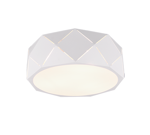 Потолочный светильник TRIO 603500331 ZANDOR купити