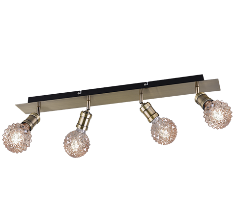 Спот TRIO 800500404 CARL купити