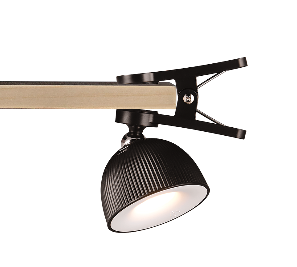 Настільна лампа REALITY R57791102 MAXIMA 3W 1x250lm 3000K купити