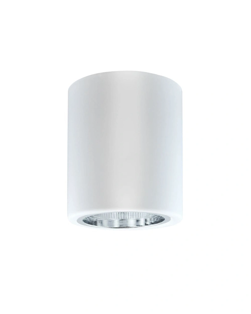 Точковий світильник Goldlux 307170 Jupiter E27 20W IP20 купити