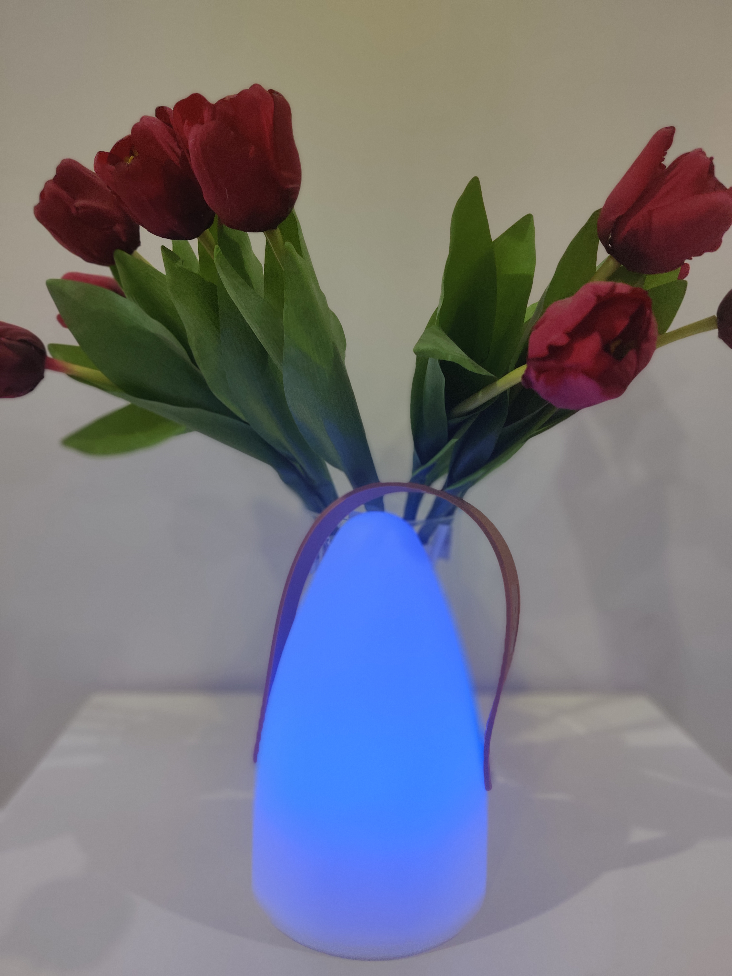 Настільна лампа на акумуляторі REALITY R57090101 HAITI купити