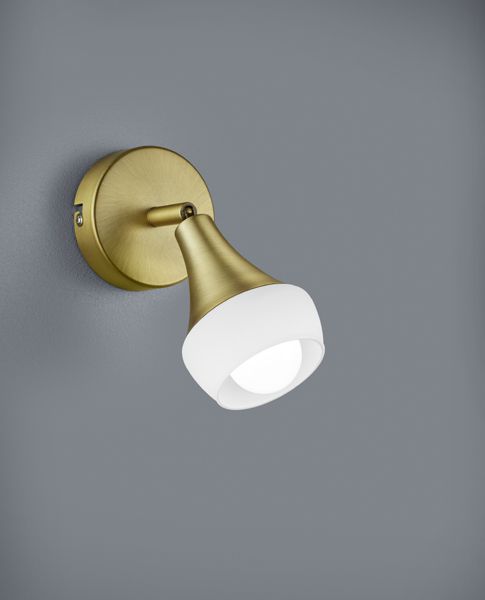 Спот TRIO 803100104 TRUMPET купити