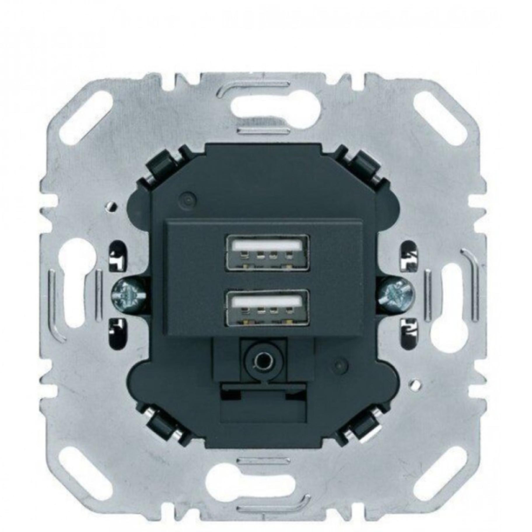 USB-розетка подвійна, 230В, антрацит 260205 купити