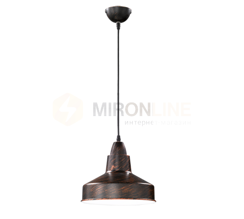 Подвесной светильник REALITY R30201024 BUDDY купити