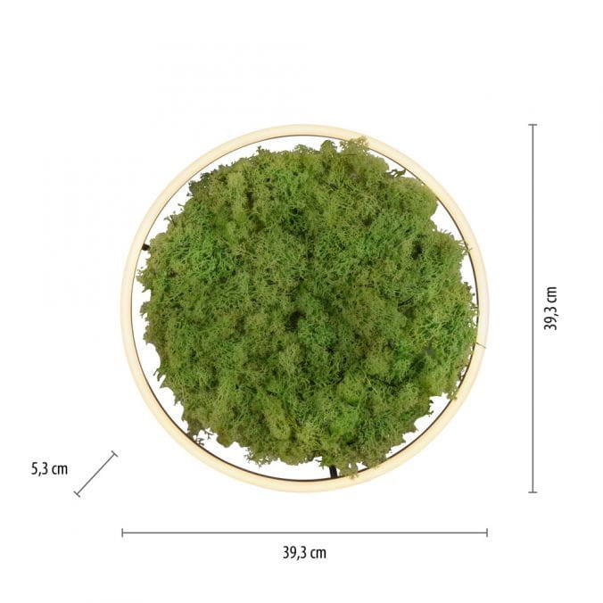 Люстра Zuma Line 15391-66 GREEN RITUS купити